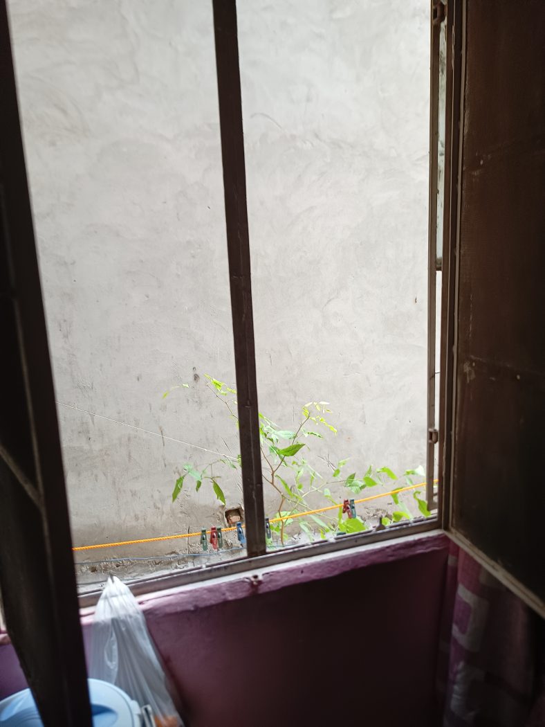 1Bhk DDA flat in dilshad garden pocket -E ready to move — photo 8