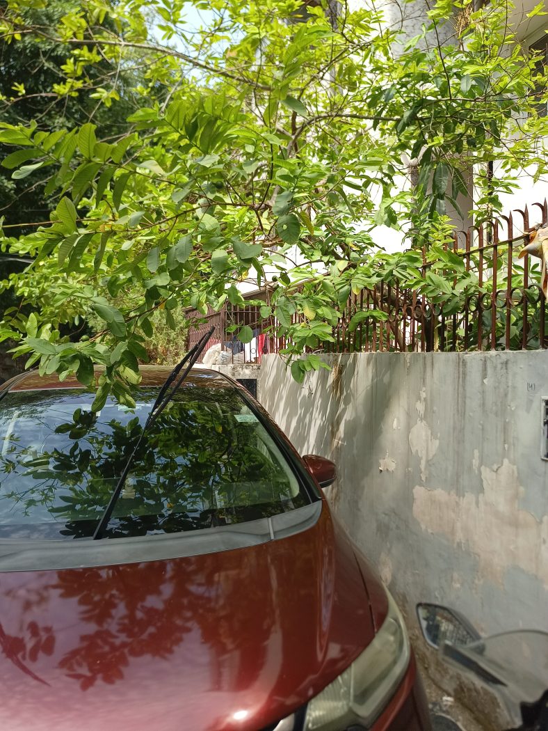 3 BHK DDA FLAT IN DILSHAD GARDEN POCKET -B GROUND FLOOR — photo 3